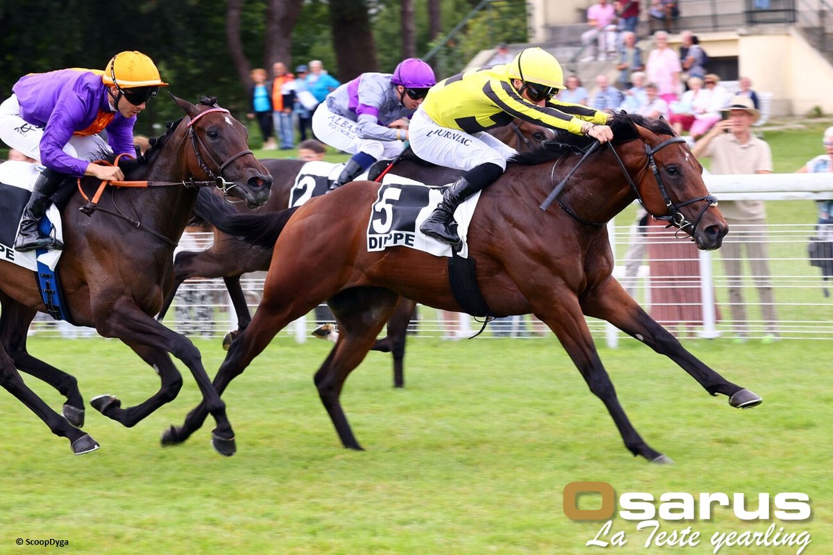 OSARUS (@osarussales) on Twitter photo 🥇 𝐆𝐎 𝐊𝐄𝐍 𝐆𝐎 #latesteyearling
2yo GO KEN GO #Goken <a href="/HarasColleville/">Haras de Colleville</a> wins the Prix des Falaises at Dieppe for <a href="/guyaderfracing/">Guyader Florian Racing</a> <a href="/HugoJourniac/">Hugo Journiac</a>, Olivia & <a href="/amymarnane/">Amy Marnane</a>
➡️ Consigned by <a href="/haieneuve/">Haras de la Haie Neuve</a> at the La Teste September Yearling sale in 2024, he was purchased by <a href="/BanshaHouse/">Bansha House Stables</a> 🥇 𝐆𝐎 𝐊𝐄𝐍 𝐆𝐎 #latesteyearling
2yo GO KEN GO #Goken <a href="/HarasColleville/">Haras de Colleville</a> wins the Prix des Falaises at Dieppe for <a href="/guyaderfracing/">Guyader Florian Racing</a> <a href="/HugoJourniac/">Hugo Journiac</a>, Olivia & <a href="/amymarnane/">Amy Marnane</a>
➡️ Consigned by <a href="/haieneuve/">Haras de la Haie Neuve</a> at the La Teste September Yearling sale in 2024, he was purchased by <a href="/BanshaHouse/">Bansha House Stables</a>