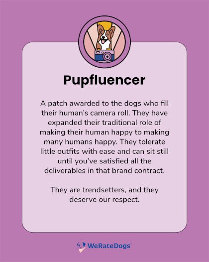 just got my official scorecard back from <a href="/dog_rates/">WeRateDogs</a> 😍