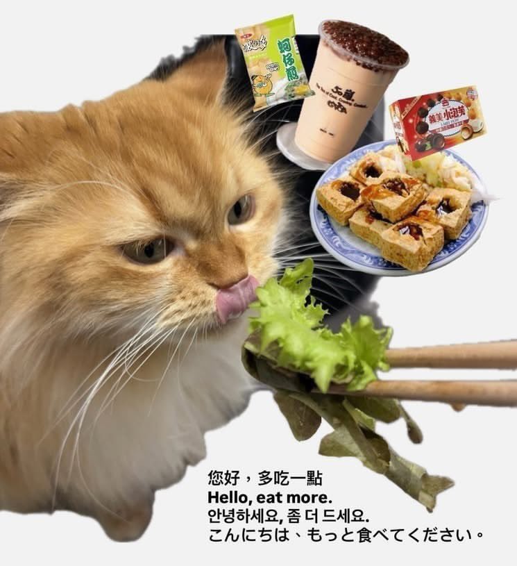 Chimnomsbook's tweet image. 대만인들 왤케 코여움