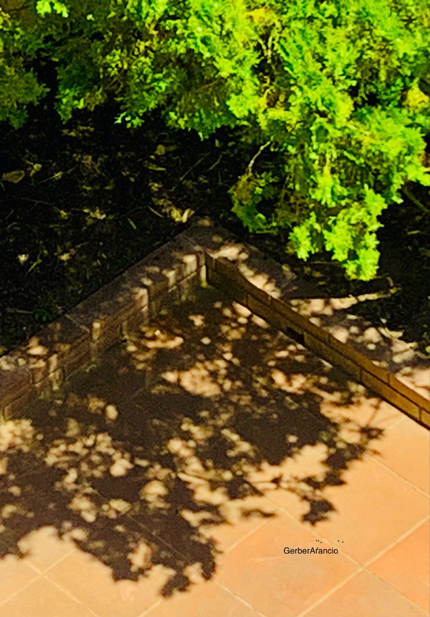 ✒️ 📷 …pensieri intrecciati…