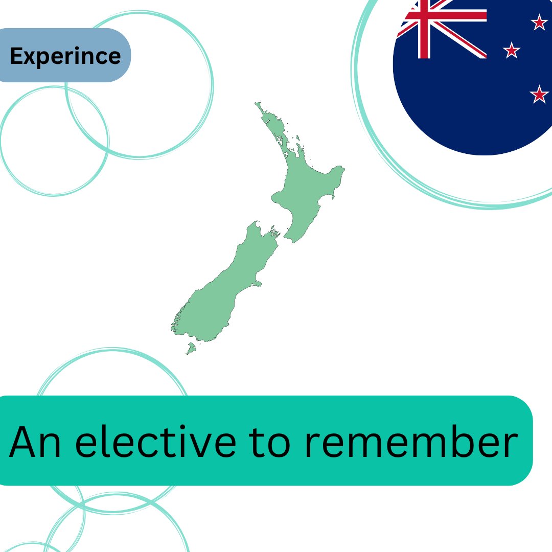 STP Perspectives tweet media