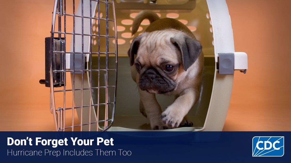Your furry friends need a plan too! 🐶🐱

Hurricane prep for pets:

🦴 Extra food &amp; water
📄 Vet records
🐾 Crate/leash/carrier
🏷️ ID tags updated

Make sure the whole family is ready. ♥️Prep your pet like you prep yourself. Start here: bit.ly/4562QKD

#PetPreparedness