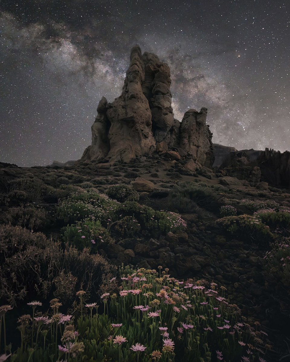 Las laderas del Teide son uno de los lugares fetiche para la fotografía  nocturna 🌌 Esta captura conseguida entre rocas y flores nos lo demuestra.  Conoce su autor, el equipo que utilizó, image size:960x1200
