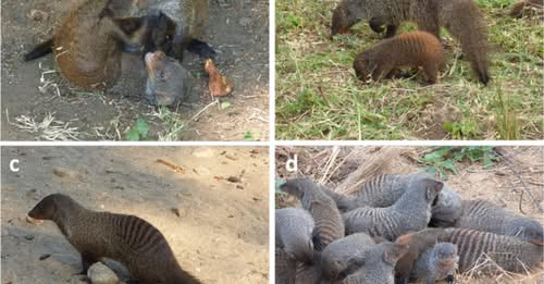 Kevin Arbuckle tweet media