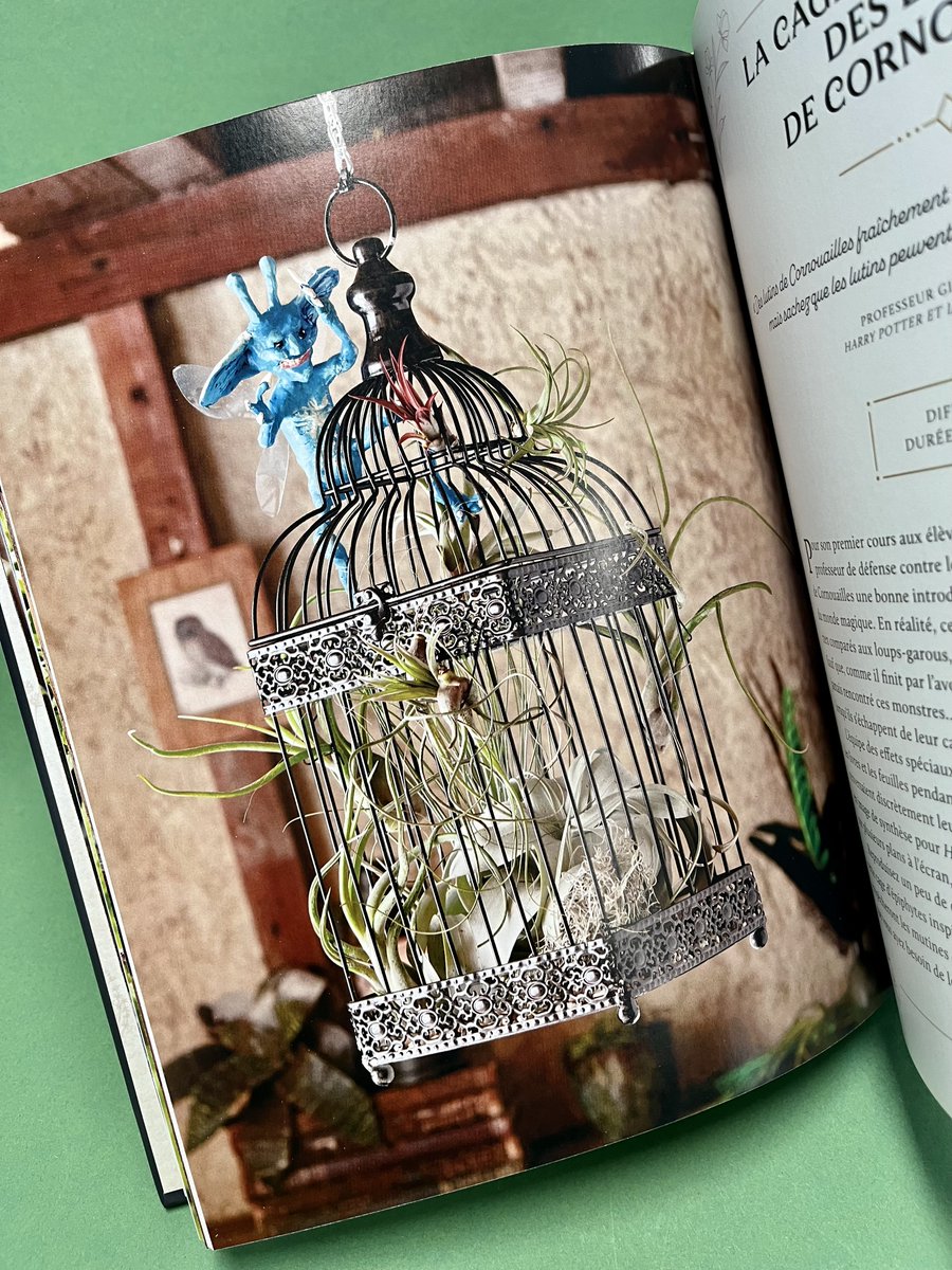 HUGINNMUNINNOFF's tweet photo. Pour celles et ceux qui se mettent à jardiner cet été, les meilleurs conseils de botanique magique se trouvent dans le guide officiel #HarryPotter 📖🍃

Cet ouvrage contient des conseils de jardinage, des instructions pour créer des terrariums et d’autres activités manuelles ! https://t.co/QtWQmqfLEs