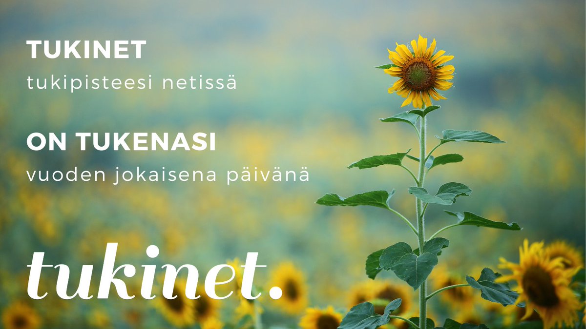 #Tukinet on tukenasi myös kesällä!

Kahdenkeskistä #keskusteluapua saa #yksilöchat'teinä ja pidempikestoisena keskustelutukena.

Ryhmiä on kaikille avoimia ja yksityisiä. Osa on reaaliaikaisia #ryhmächat'tejä ja osa pitkäaikaisia keskusteluryhmiä.

tukinet.net/teemat/