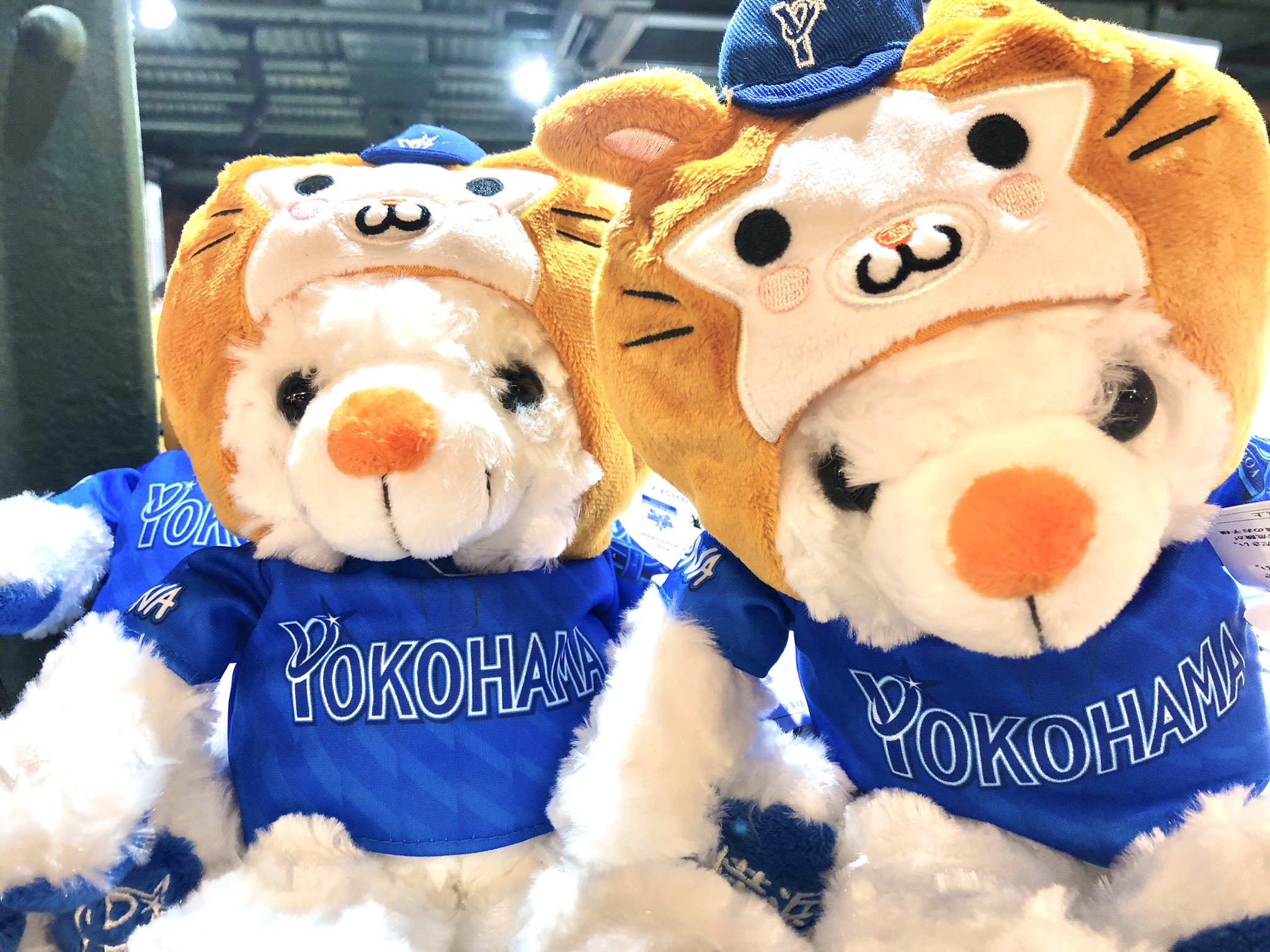 ご当地ベア　御当地ベア　１2体セット リゾート テーマパーク グッズのリーディングカンパニー 株式