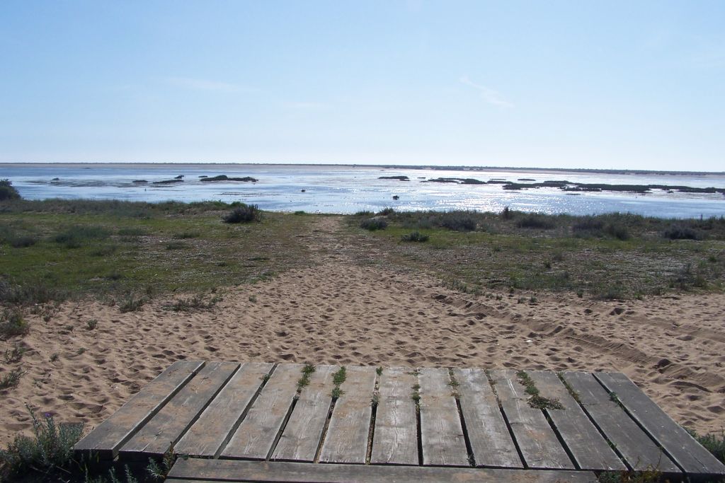 🥾 Sendero Calatilla de Bacuta
Un paseo entre salinas tradicionales e industriales, flamencos y marismas llenas de vida 🌾🦩
Finaliza con vistas a la Isla de Enmedio, Reserva Natural y santuario de biodiversidad.
📍 Descúbrelo aquí 👉 lajunta.es/5tdqi
#MarismasDelOdiel