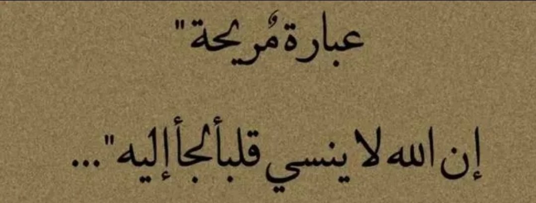 ﴿وَمَا كَانَ رَبُّكَ نَسِيًّا﴾ :