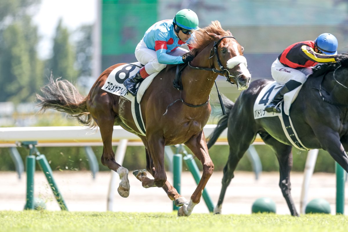 netkeiba's tweet image. 【日曜新潟4R 2歳新馬(芝1600)】
#プロメサアルムンド
#クリストフ・ルメール
#国枝栄
父モーリス
母アーモンドアイ
db.sp.netkeiba.com/horse/20231068…
撮影：下野雄規