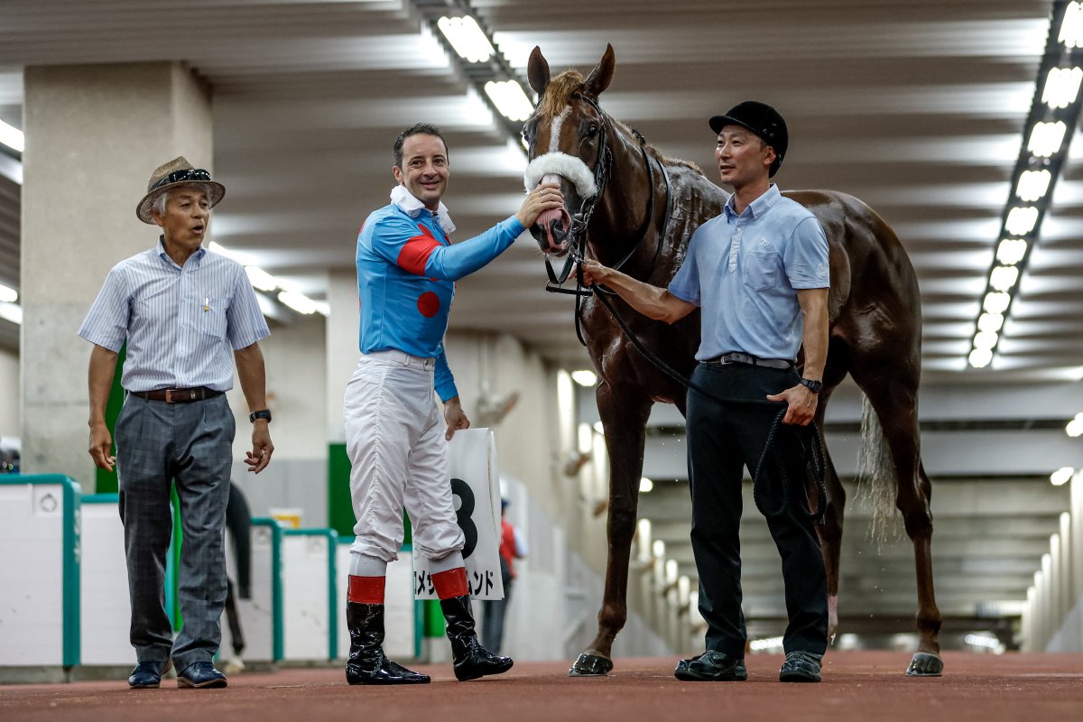 netkeiba's tweet image. 【日曜新潟4R 2歳新馬(芝1600)】
#プロメサアルムンド
#クリストフ・ルメール
#国枝栄
父モーリス
母アーモンドアイ
db.sp.netkeiba.com/horse/20231068…
撮影：下野雄規