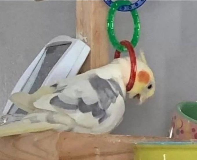 Yaz mevsimi 
Yaz 
Sadece yaz 
İğrenç sıcaklar