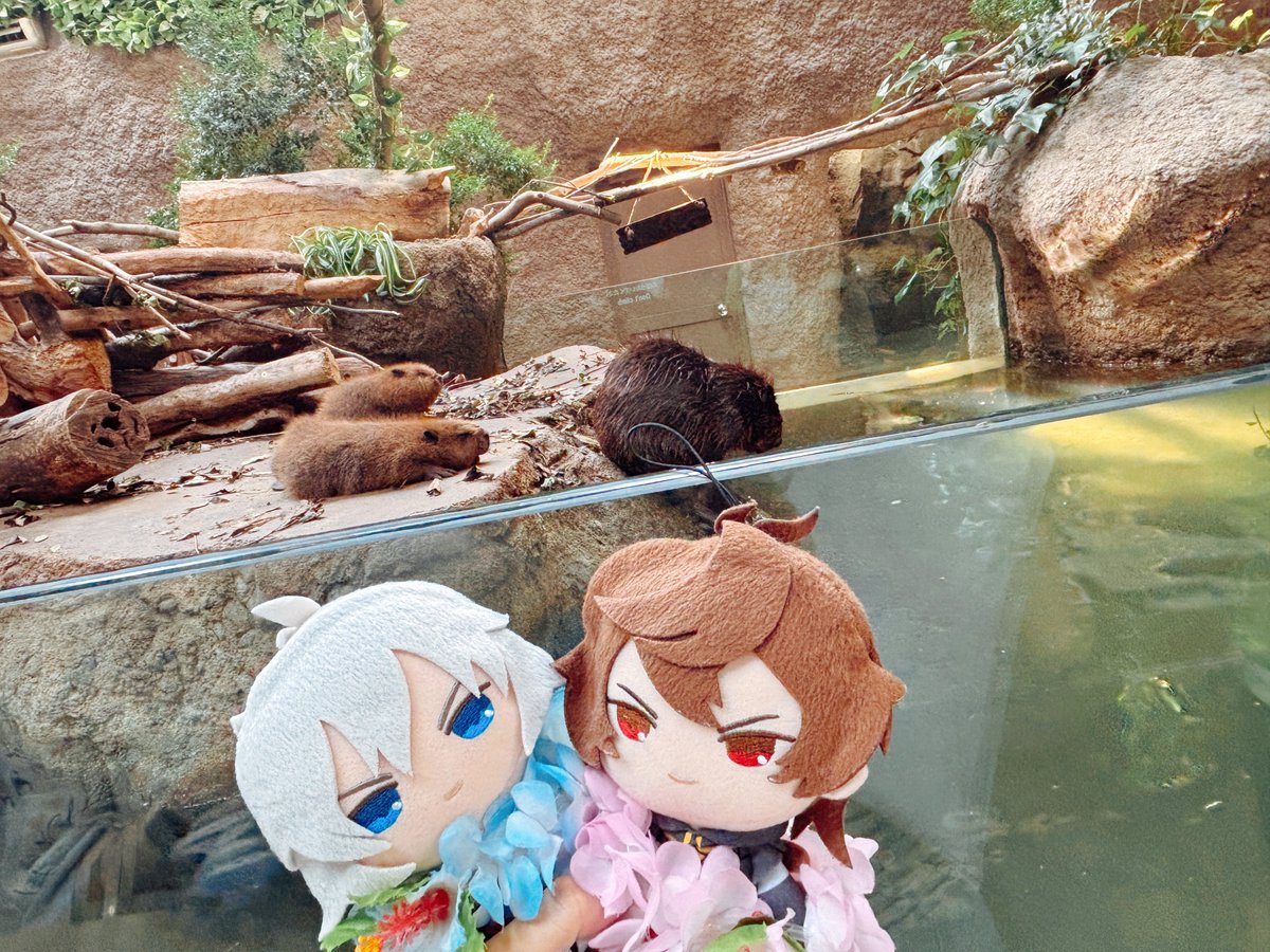 noichi_r's tweet photo. https://t.co/X6RBsWV75F