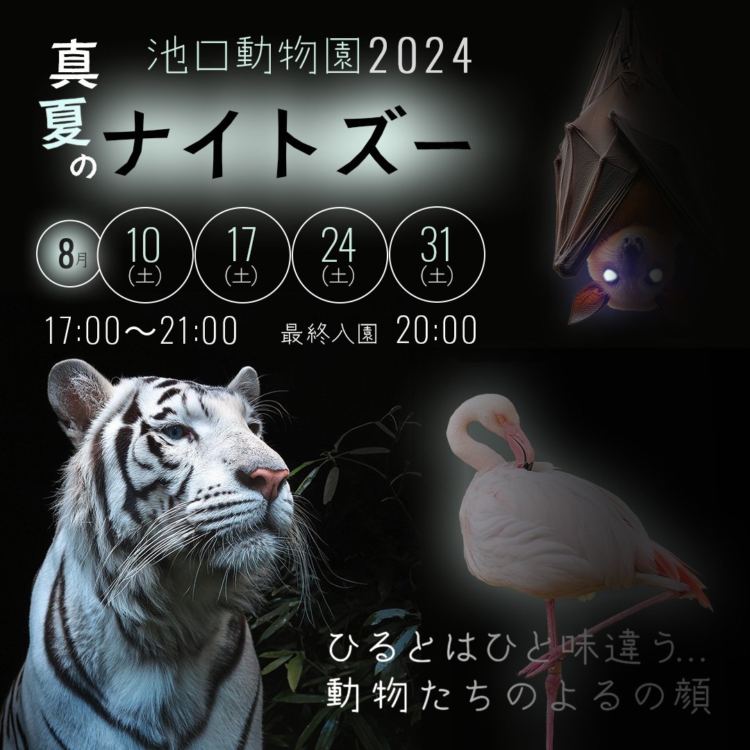 初のキャンペーンリリース完了✨️
達成感でいっぱい！

AdobeクリエイティブカレッジとDXアップで学んだことは今の仕事の全てに活きてる

パワーアップのために、またクリカレチャレンジしたいな🤗

懐かしのPsとAiの卒業制作✒️