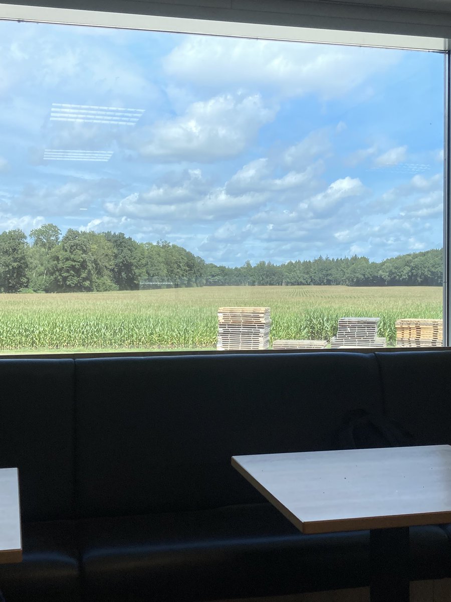 من هر روز سر کار با این ویو غذا میخورم
شما چطور؟
عاشقشم❤️