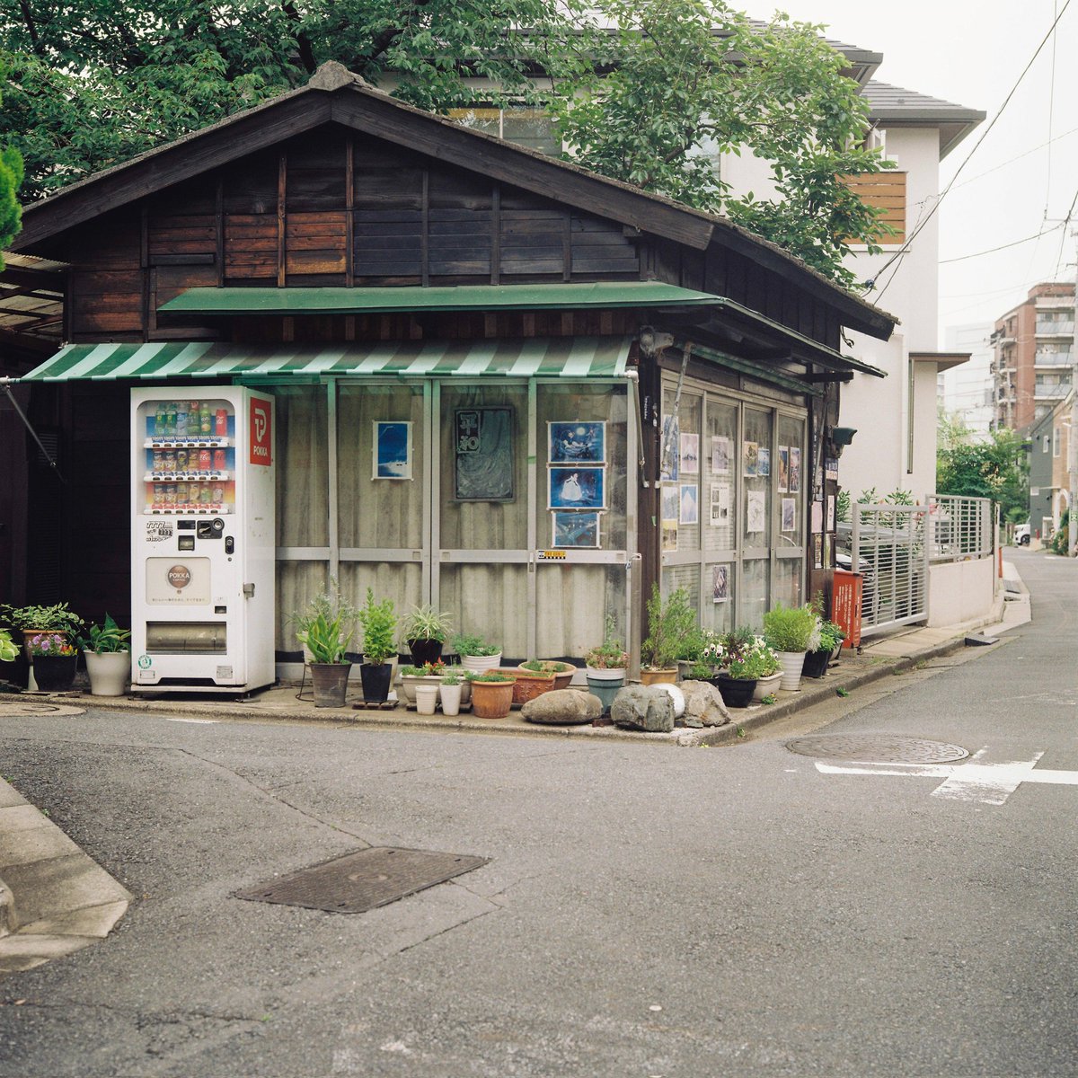 小菅