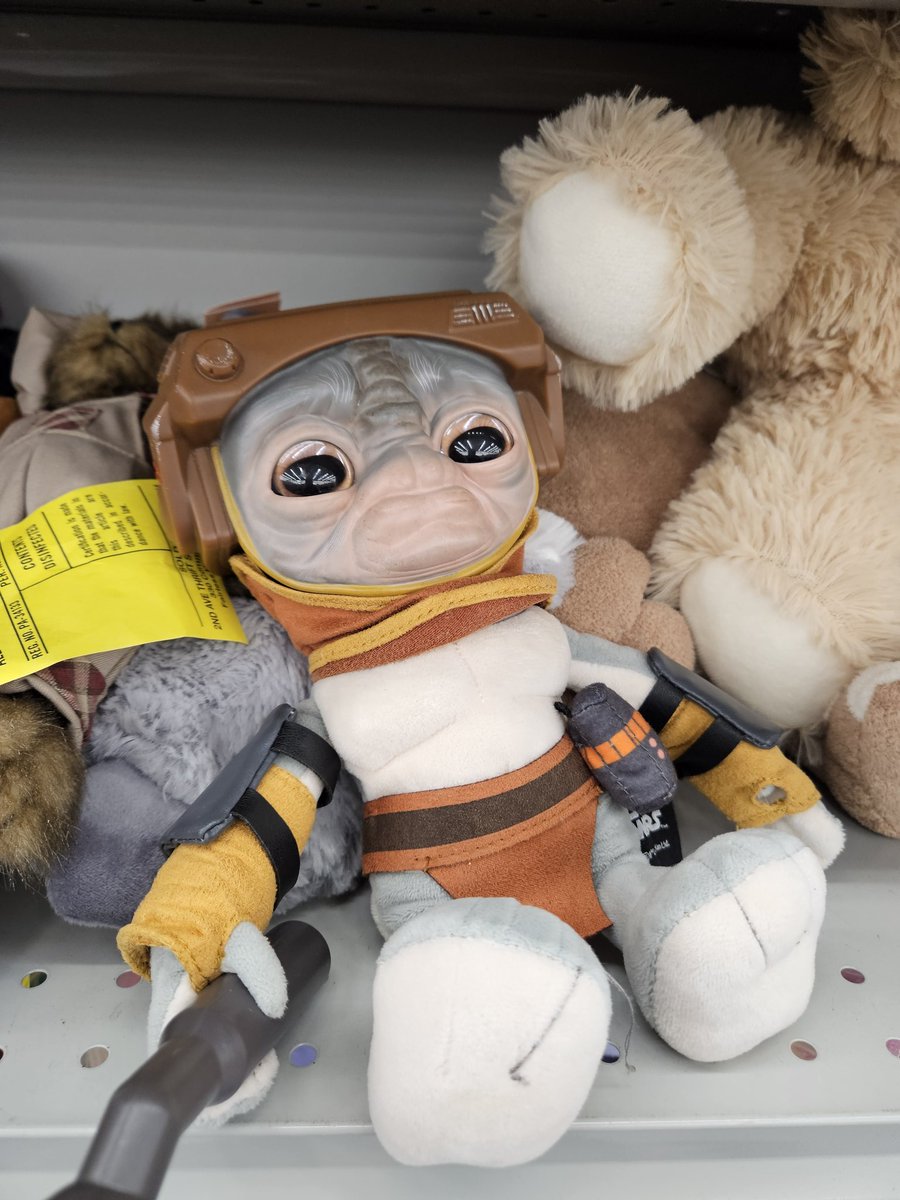 Thrift store patrons who aren't into Star Wars have to walk by this dude and must think it's the ugliest thing.