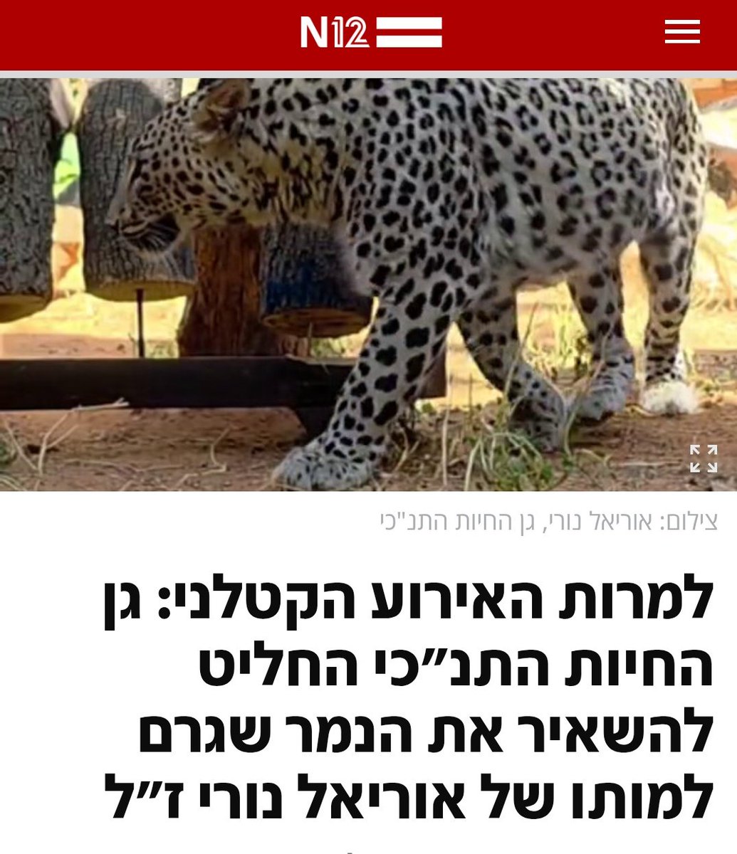 מילא להשאיר אותו אבל צריך לוודא שהוא לא יקבל פעמיים בשבוע נקניקיות כי זה לא בריא