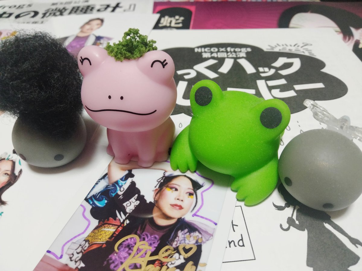 今回は緑ヘアなピンクカエルくんをお迎えして、仲良し４匹組になりました🍀
今後も増えていくんでしょうかねぇ🐸
#踊じゃーにー
#ニコフロ