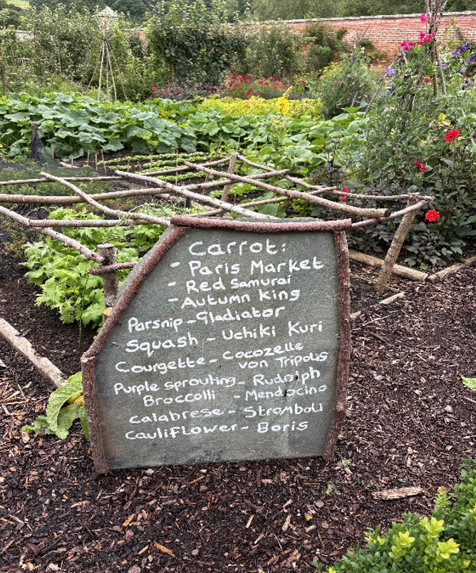 Abbotsford’s gardens are bursting with life and producing a wonderful variety of fruits &amp; vegetables. We love the quirky names on our new vegetable patch menu boards: Red Samurai carrots, Gladiator parsnips, and Tweed swedes! It's a great time of year to explore our outdoor rooms