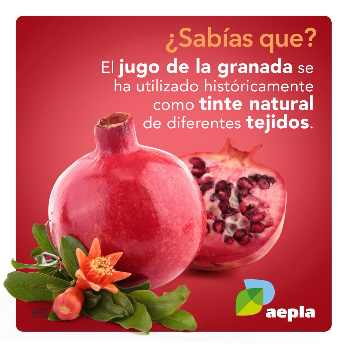 Gracias al jugo de la granada se obtenía un tinte rojo oscuro intenso, muy apreciado en la industria textil durante siglos.

De hecho, el color granate 🔴 debe su nombre a esta fruta tan característica, ya que significa, en lengua provenzal, 'del color de la granada".