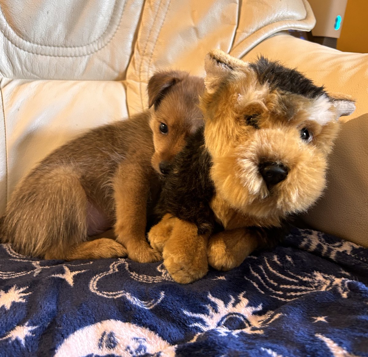 My big brother ❤️❤️😊😊🐶🐶😇😇