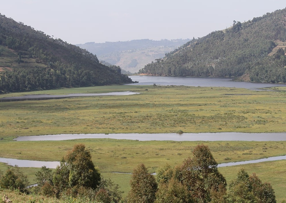 Rwanda Targets Peatland Restoration to Boost Climate Action and Carbon Credit Potential - kigalitimes

READ MORE&gt;&gt;&gt; kigalitimes.rw/2025/08/04/rwa…