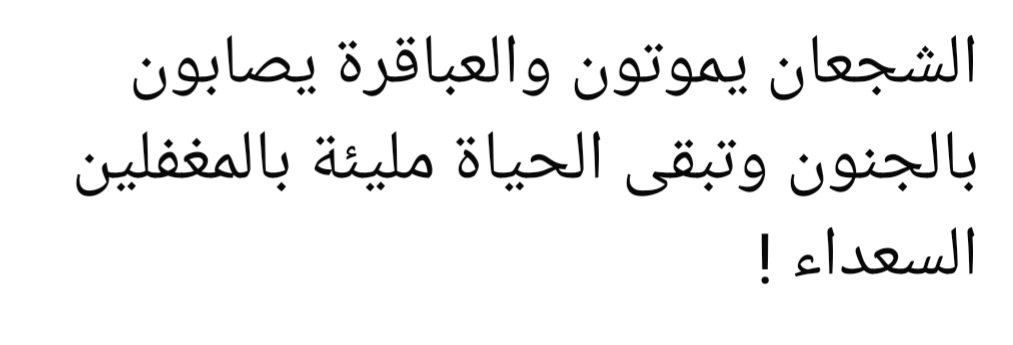 مسآء الخير