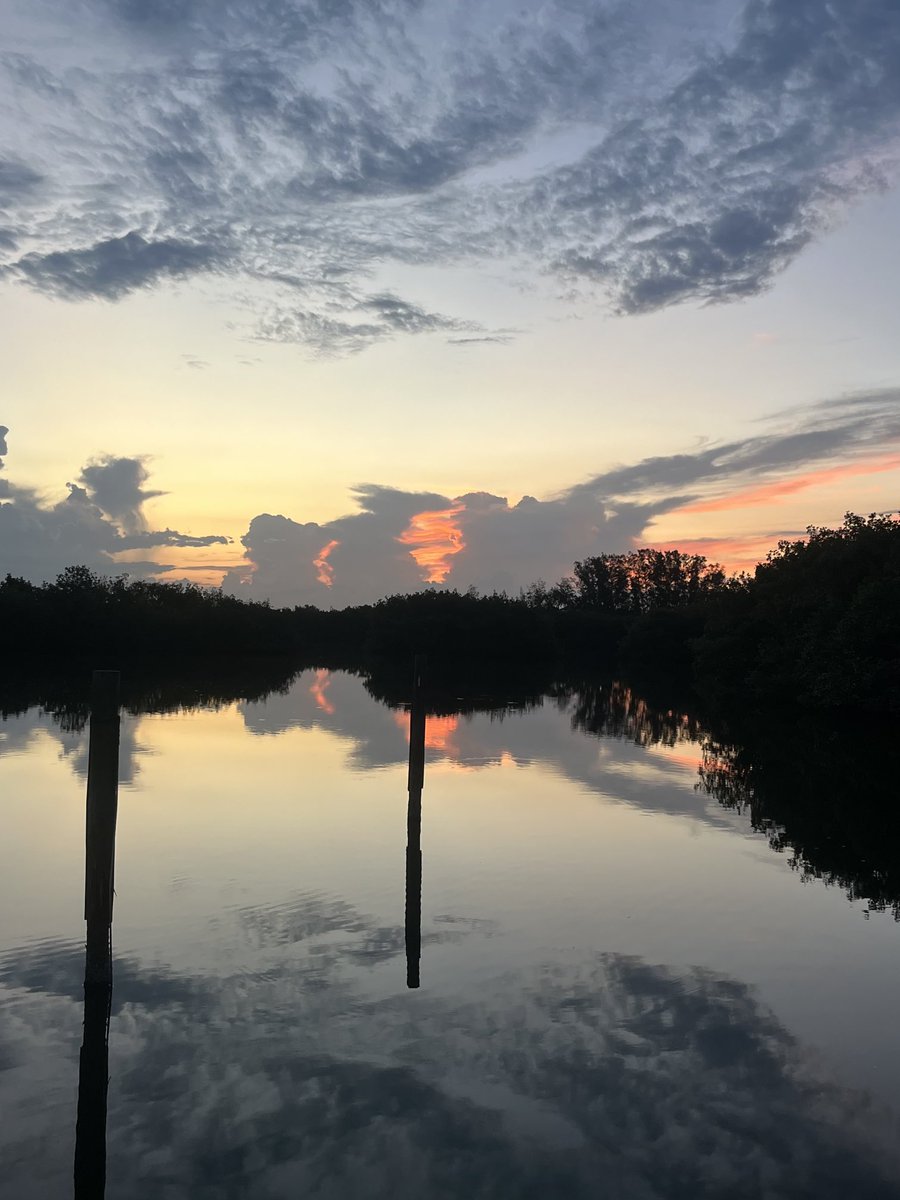 Henry Parrish tweet media