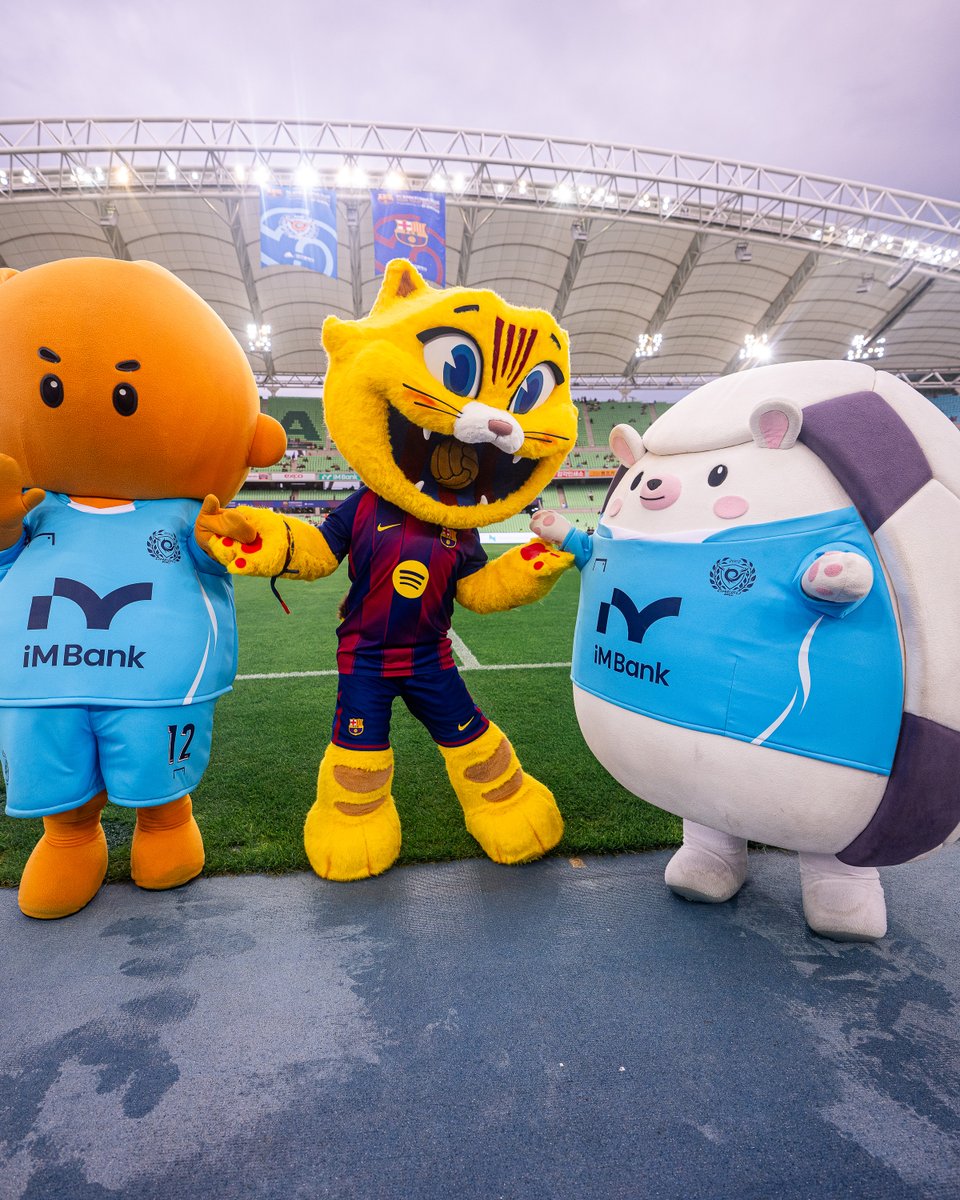 Cat is always making friends 😽