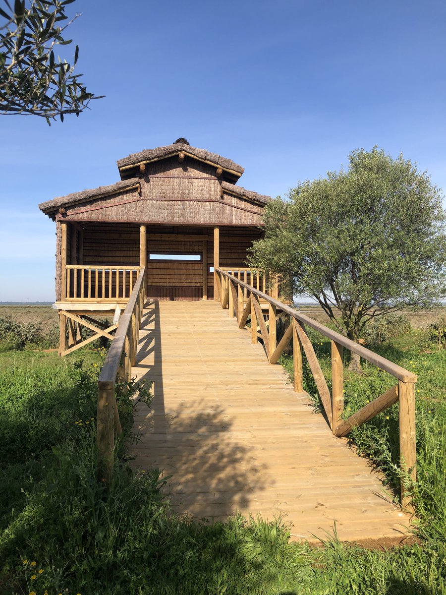 🦅 Observatorio El Águila
Un mirador tradicional integrado en la marisma, ideal para observar sin molestias al águila pescadora y disfrutar de la Isla de Enmedio y Bacuta🌾👀
📩 Acceso con autorización previa.
👉 lajunta.es/5tdr1
#MarismasDelOdiel #Birdwatching