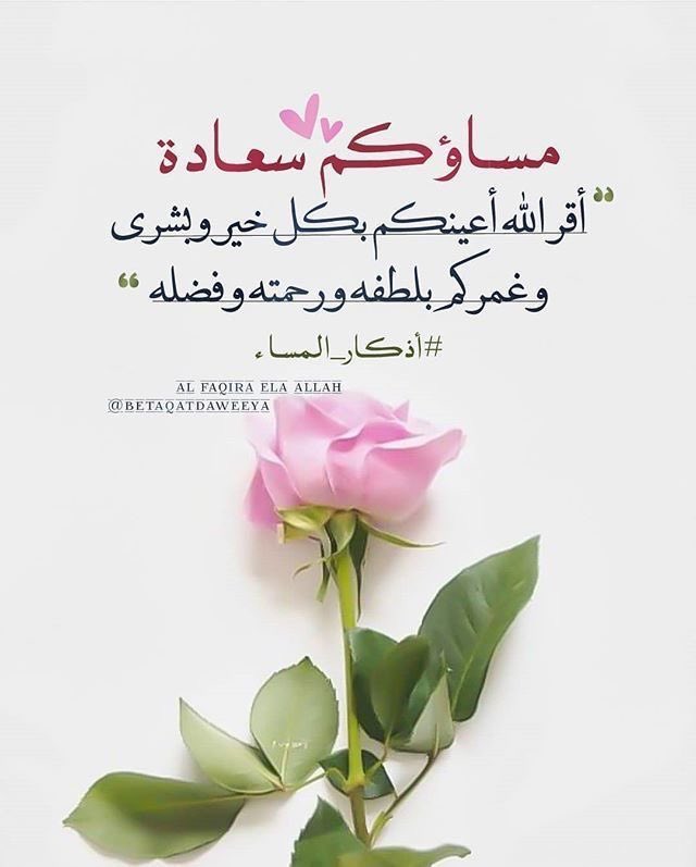 اللهُم هَب لي قَلباً , لا يتكَاسل عَن صلاَتك ولا يؤخرها .

            .
            #مساء الخير