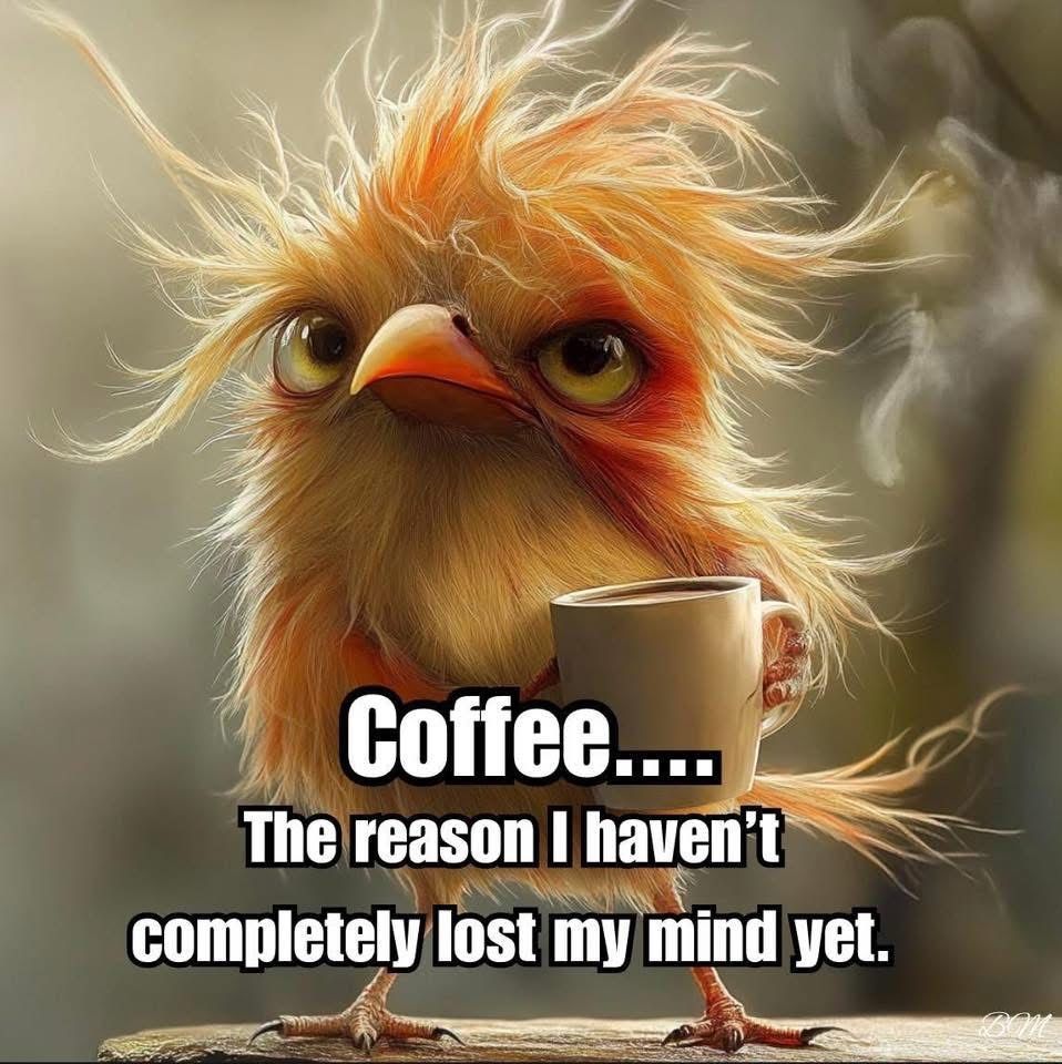 Justly mostly… 😉☕️ Good morning!! ☕️😁 How was your weekend? Hunting season is coming up fast now!! Are you getting ready? Practice, practice, practice! Have an outstanding day!! 
•
•
•
•
•
 #ralphandvicki #mmmcoffee #teamoutdoors #countyourblessings