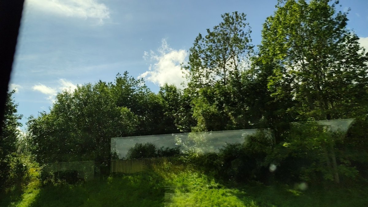 Un any i mig sense veure cornelles emmantellades, però ja tornem a ser al nord😍