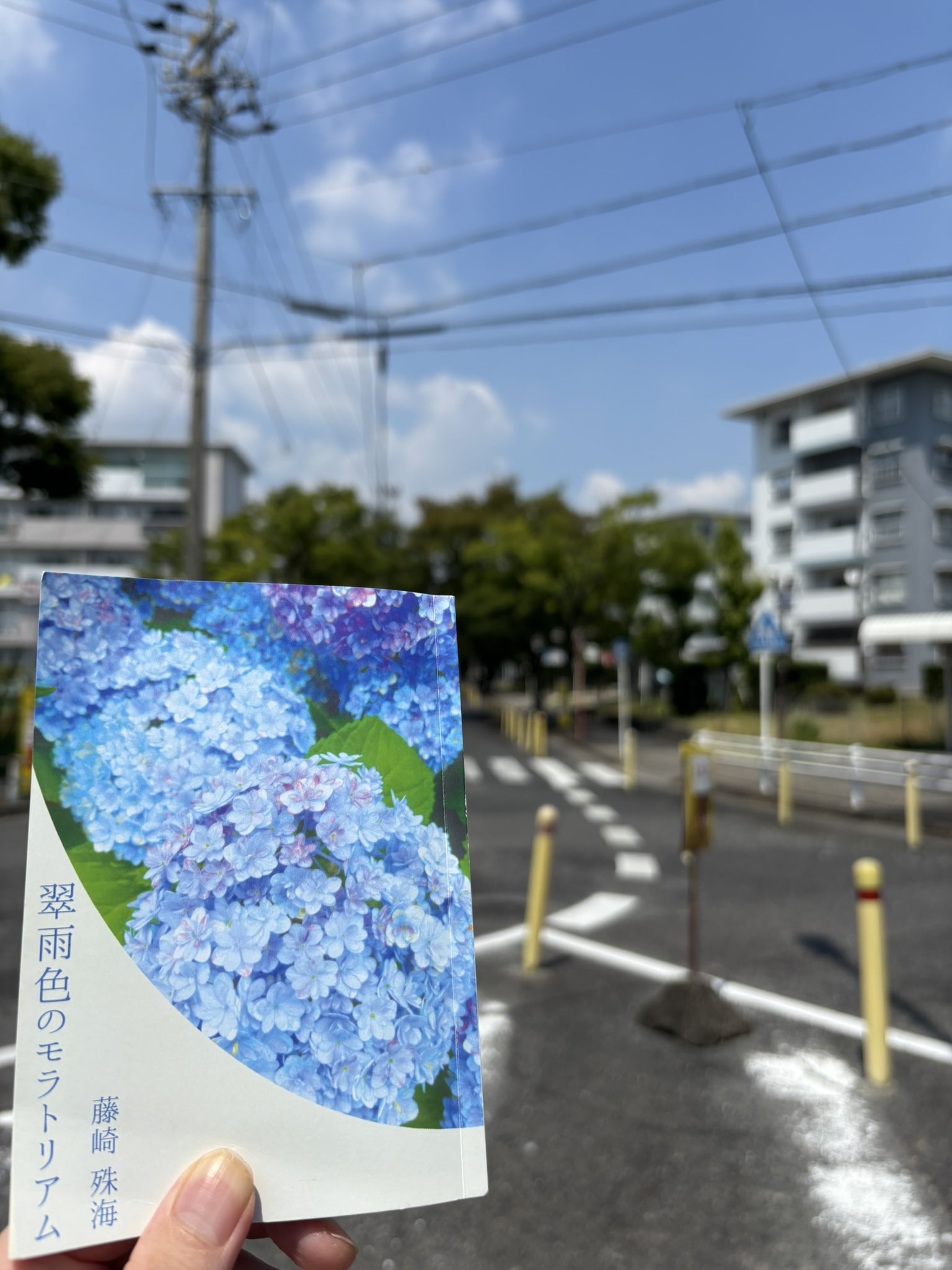 ルルるんさま ルルルン / フェイスマスク ルルルン(旧)の公式バリエーション