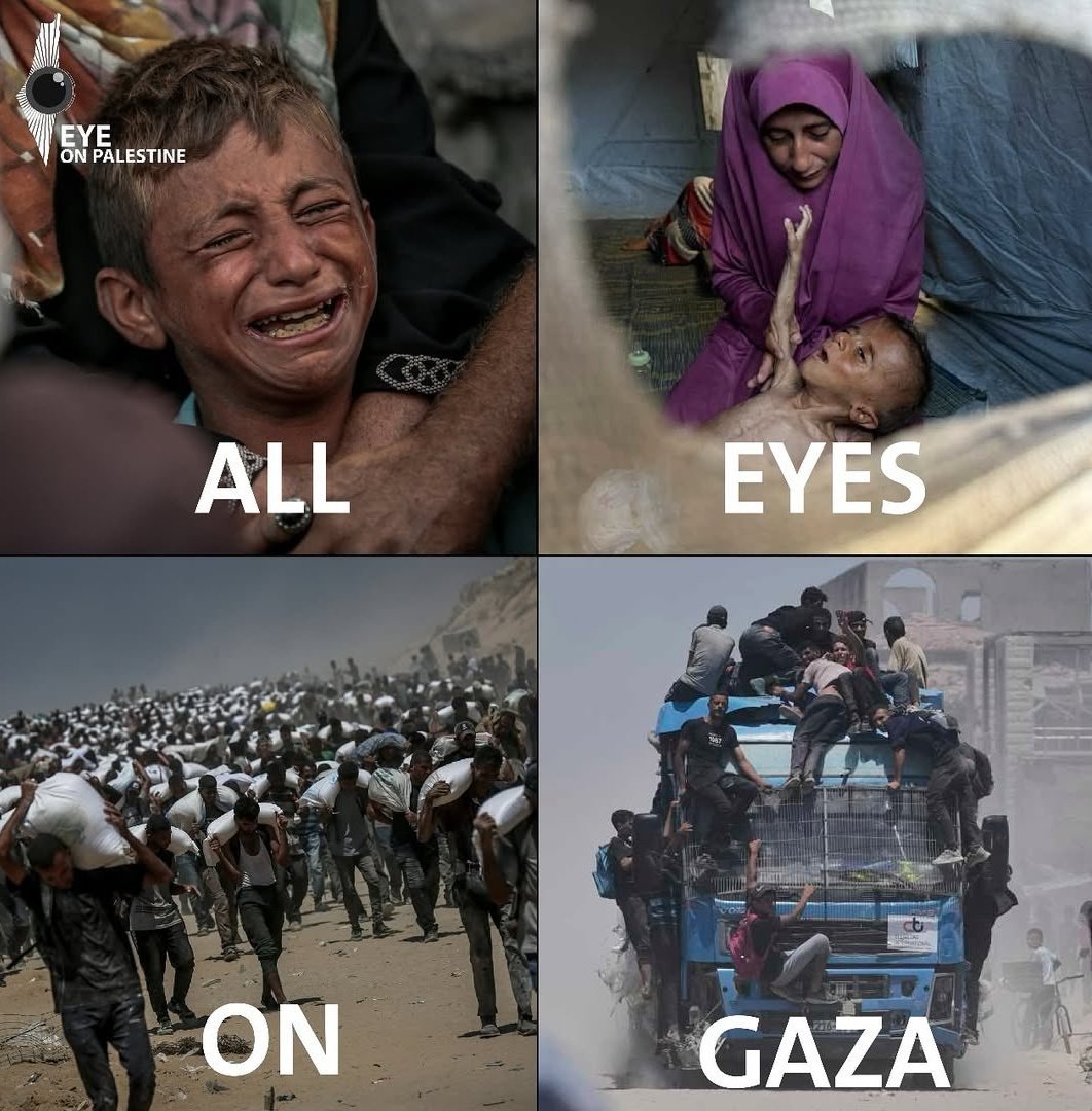 We received a $5 donation today.
After fees, that’s $2.5

$2.5in a warzone
What can that buy?
Not a meal. Not medicine. Not even hope

We’re not numbers on a screen. We’re human lives hanging by a thread.
Please — if you’re reading this, help us survive
chuffed.org/project/122168…