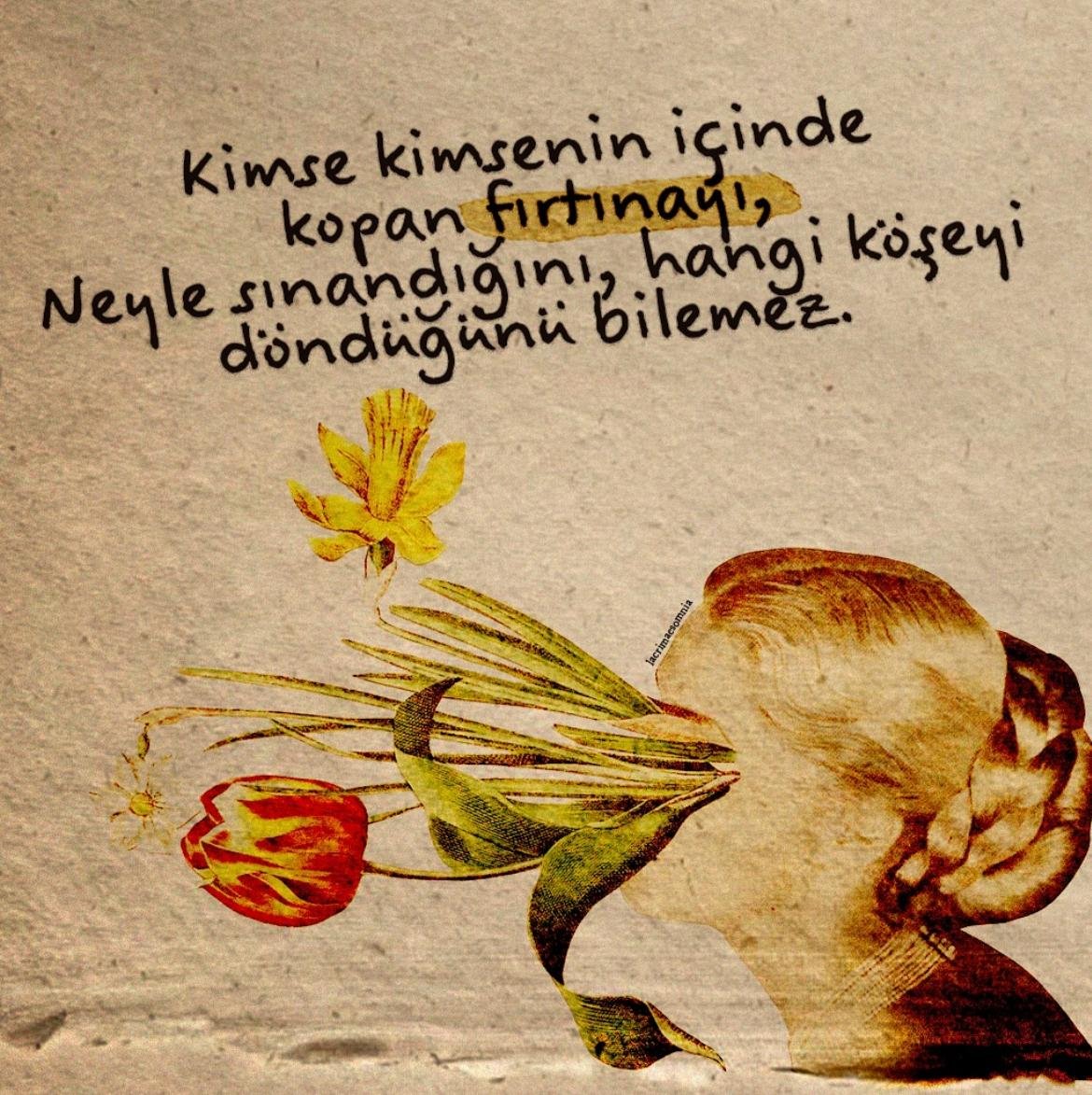 10/10 Bilgi Seli (@ononbilgiselim) on Twitter photo 