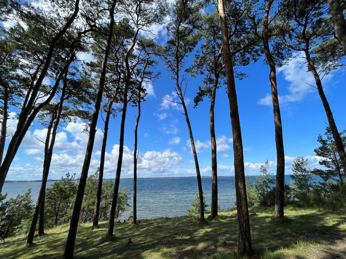 Letzter Blick aufs Meer und ab nach Hause.