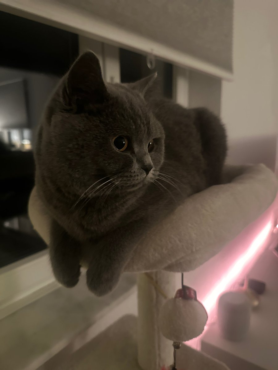 Prinzessin 🥰🥰🥰🥰