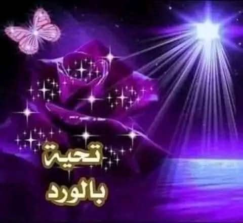 محمد الراوي (@m7hammed163) on Twitter photo <a href="/JuomanhTvg/">Juomanh Al Rawi🩷</a> عيونك وحدها يرادلها قلب ثاني
هسه بـ قلب واحد شلون احبك آني ♥️
جميلٌ هو القلب الأبيض الذي لايطيق زعلاً وغيضاً على من يُحب حتى لو كان الطرف الأخر مُخطئ..
نادرون اولئك الناس.. ❤️
مساؤك ورد وفل وياسمين 💐 <a href="/JuomanhTvg/">Juomanh Al Rawi🩷</a> عيونك وحدها يرادلها قلب ثاني
هسه بـ قلب واحد شلون احبك آني ♥️
جميلٌ هو القلب الأبيض الذي لايطيق زعلاً وغيضاً على من يُحب حتى لو كان الطرف الأخر مُخطئ..
نادرون اولئك الناس.. ❤️
مساؤك ورد وفل وياسمين 💐