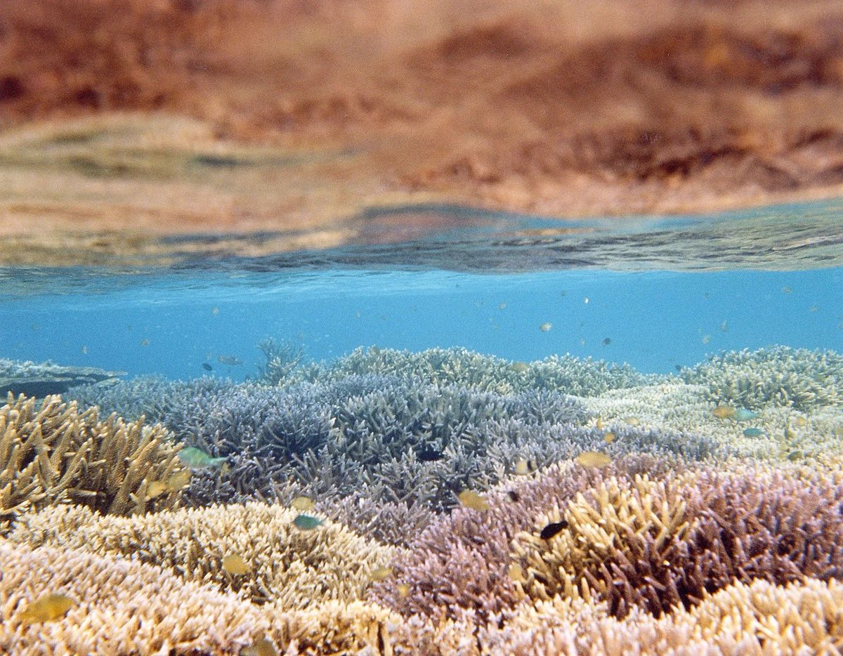 About Photography tweet media