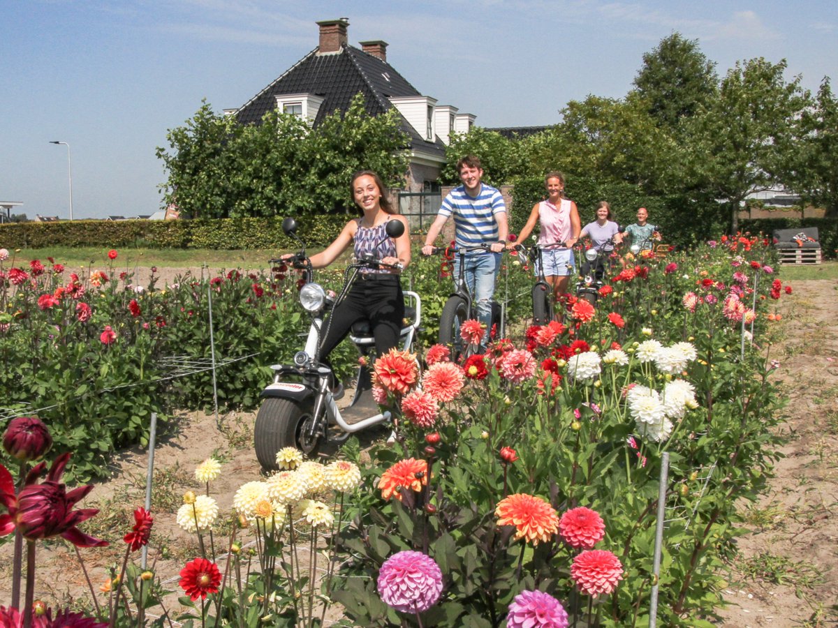 HavefunEvents's tweet image. 🌺 Dahliaseizoen op de E-chopper! 🛵 Cruise geruisloos langs kleurrijke dahliavelden &amp;amp; natuur 🌸🌿
✔️ Vanaf 16 jaar | ✔️ Rijbewijs verplicht | ✔️ Geen helm nodig
👉 Boek nu: havefunevents.nl #Dahliaseizoen #EChopper #HaveFunEvents
