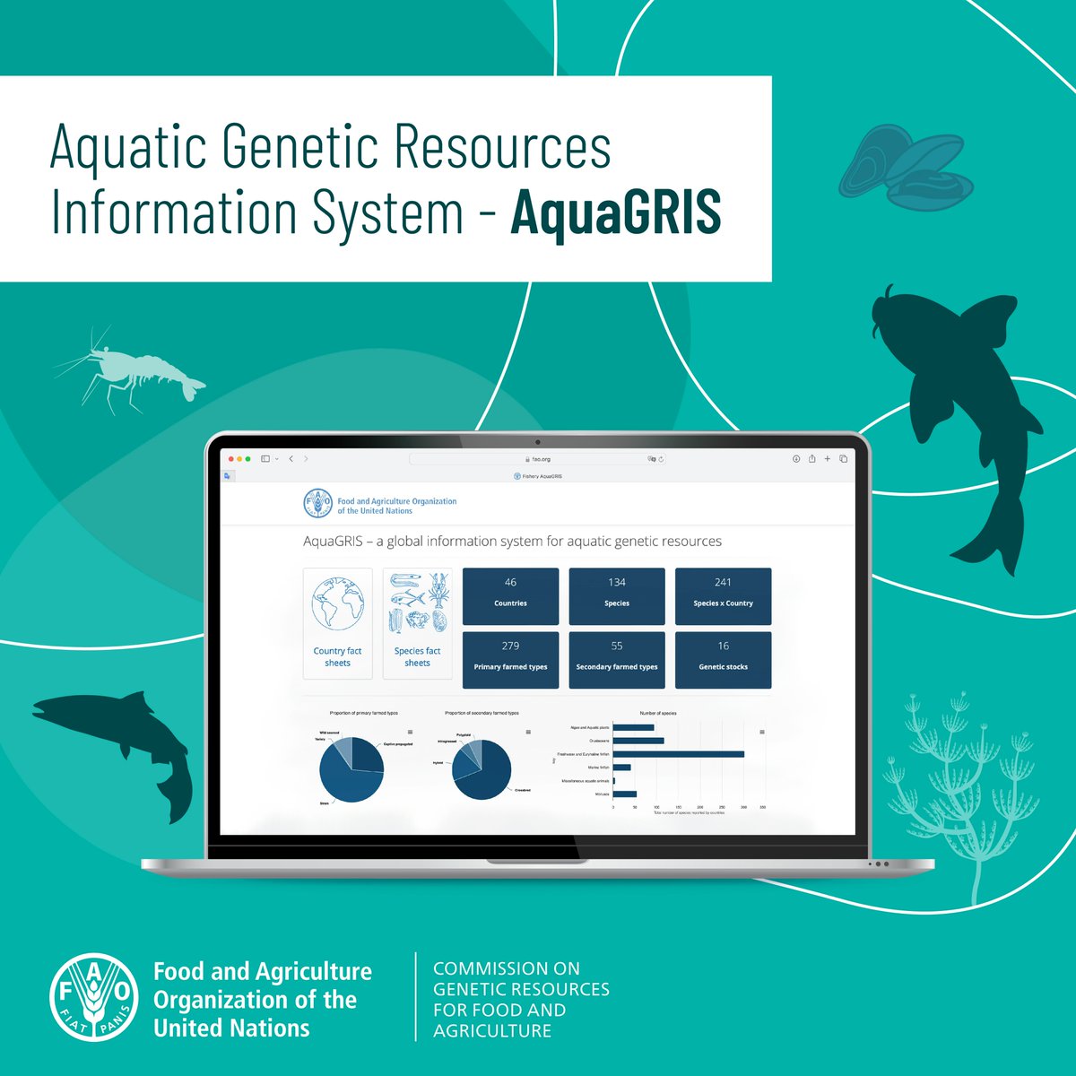 .<a href="/FAOfish/">Fisheries & Aquaculture</a> 's #AquaGRIS is an info system that maps farmed aquatic genetic resources, including those from wild stocks.

It helps countries monitor &amp; manage aquatic biodiversity, enhancing aquaculture resilience.

Explore the data 👉fao.org/fishery/aquagr… #FAO_GSA