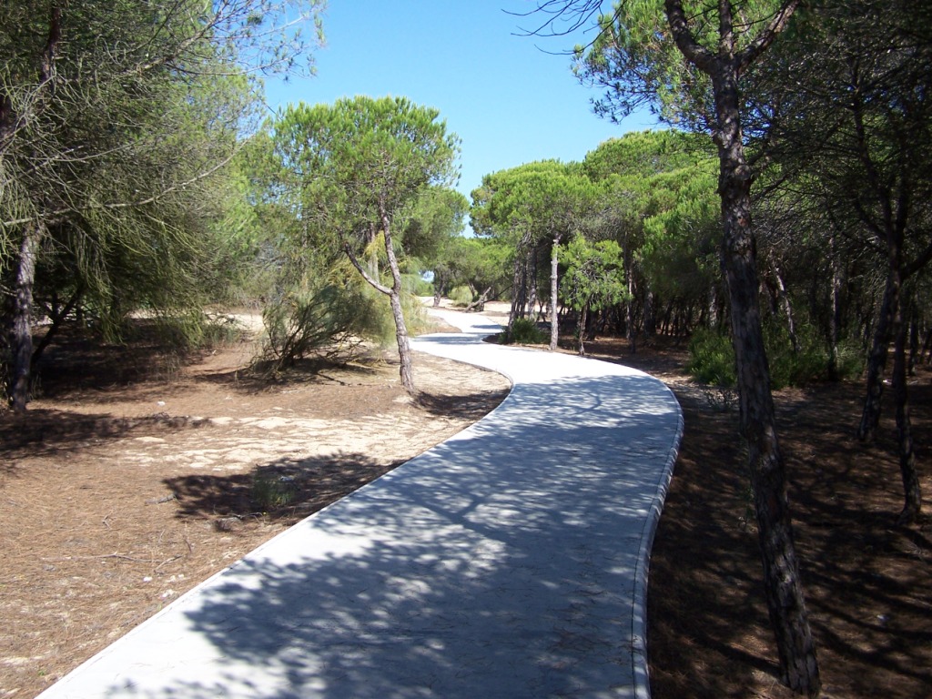 🚴‍♀️🌲 Recorre el carril bici La Bota - El Portil, entre pinares, dunas y vistas al litoral onubense.
Un trazado entre subidas y bajadas para conectar con la naturaleza entre marismas y playas.
🗺️ Más información👉lajunta.es/5tdsb
#Cicloturismo #Andalucía #MarismasDelOdiel