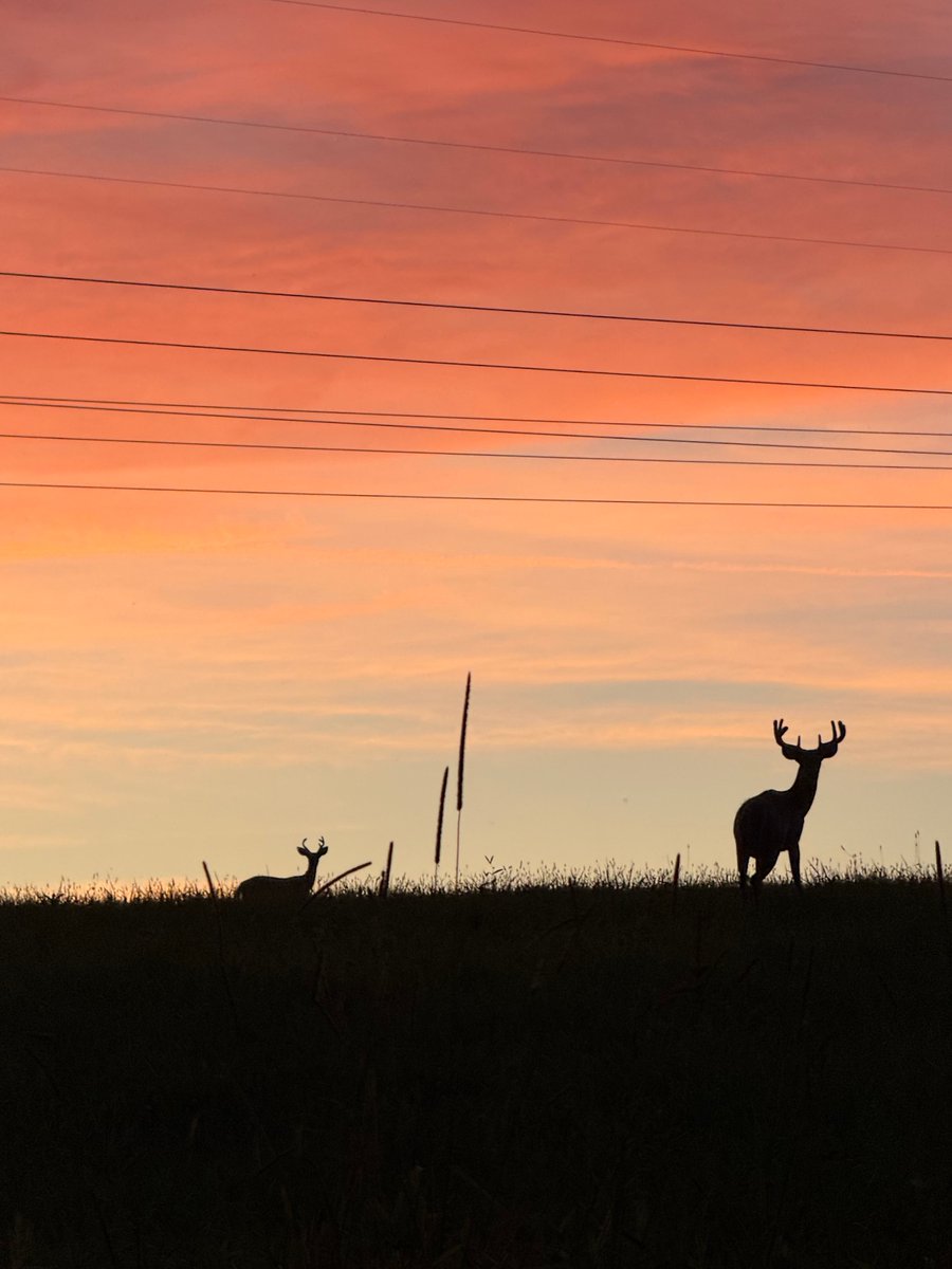 Photos of the Day
Storm at Myrtle Beach - Greg Moore
Monarch caterpillar - Joy Molinaro 
Bucks on the horizon - Abriana Scherer 
wtov9.com/chimein