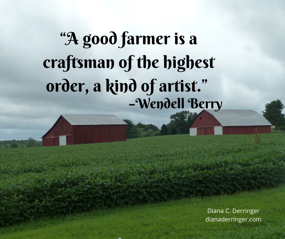 “A good farmer is a craftsman of the highest order, a kind of artist.” —Wendell Berry

#farmer #farm #quote #wendellberry
