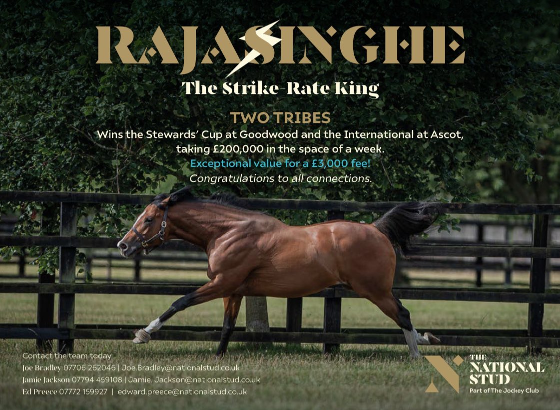 EBN (@bloodstocknews) on Twitter photo RAJASINGHE <a href="/NatStudStallion/">The National Stud</a> ⚡️ the strike-rate King!
TWO TRIBES wins the Stewards’ Cup at Goodwood and the International at Ascot, taking £200,000 in the space of a week 💥
Exceptional value for a £3,000 fee❗️
Congratulations to all connections 👏
➡️ nationalstud.co.uk/stallions/raja… RAJASINGHE <a href="/NatStudStallion/">The National Stud</a> ⚡️ the strike-rate King!
TWO TRIBES wins the Stewards’ Cup at Goodwood and the International at Ascot, taking £200,000 in the space of a week 💥
Exceptional value for a £3,000 fee❗️
Congratulations to all connections 👏
➡️ nationalstud.co.uk/stallions/raja…