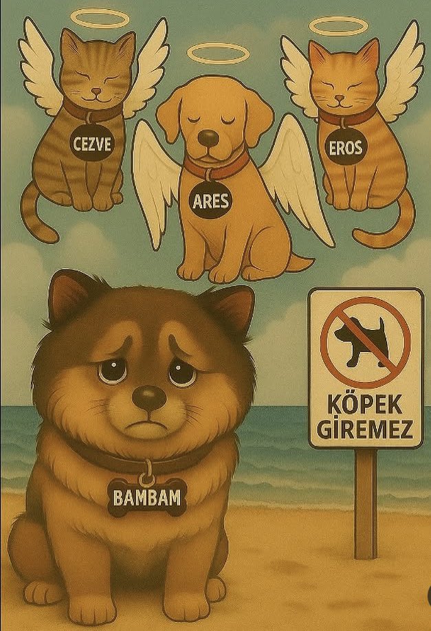 TCaysimozsoy's tweet image. Suçumuz ne hayvan olmak mi