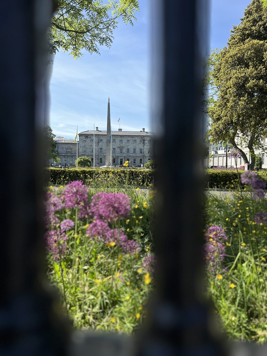 Houses of the Oireachtas - Tithe an Oireachtais (@oireachtasnews) on Twitter photo In May, for #BiodiversityWeek, we celebrated the wild flora & fauna that thrive on Leinster Lawn at #LeinsterHouse. As caretakers of this state site, the <a href="/OireachtasNews/">Houses of the Oireachtas - Tithe an Oireachtais</a> is proud to support Ireland’s biodiversity right in the heart of Dublin. #SeeForYourself #BiodiversityWeek In May, for #BiodiversityWeek, we celebrated the wild flora & fauna that thrive on Leinster Lawn at #LeinsterHouse. As caretakers of this state site, the <a href="/OireachtasNews/">Houses of the Oireachtas - Tithe an Oireachtais</a> is proud to support Ireland’s biodiversity right in the heart of Dublin. #SeeForYourself #BiodiversityWeek