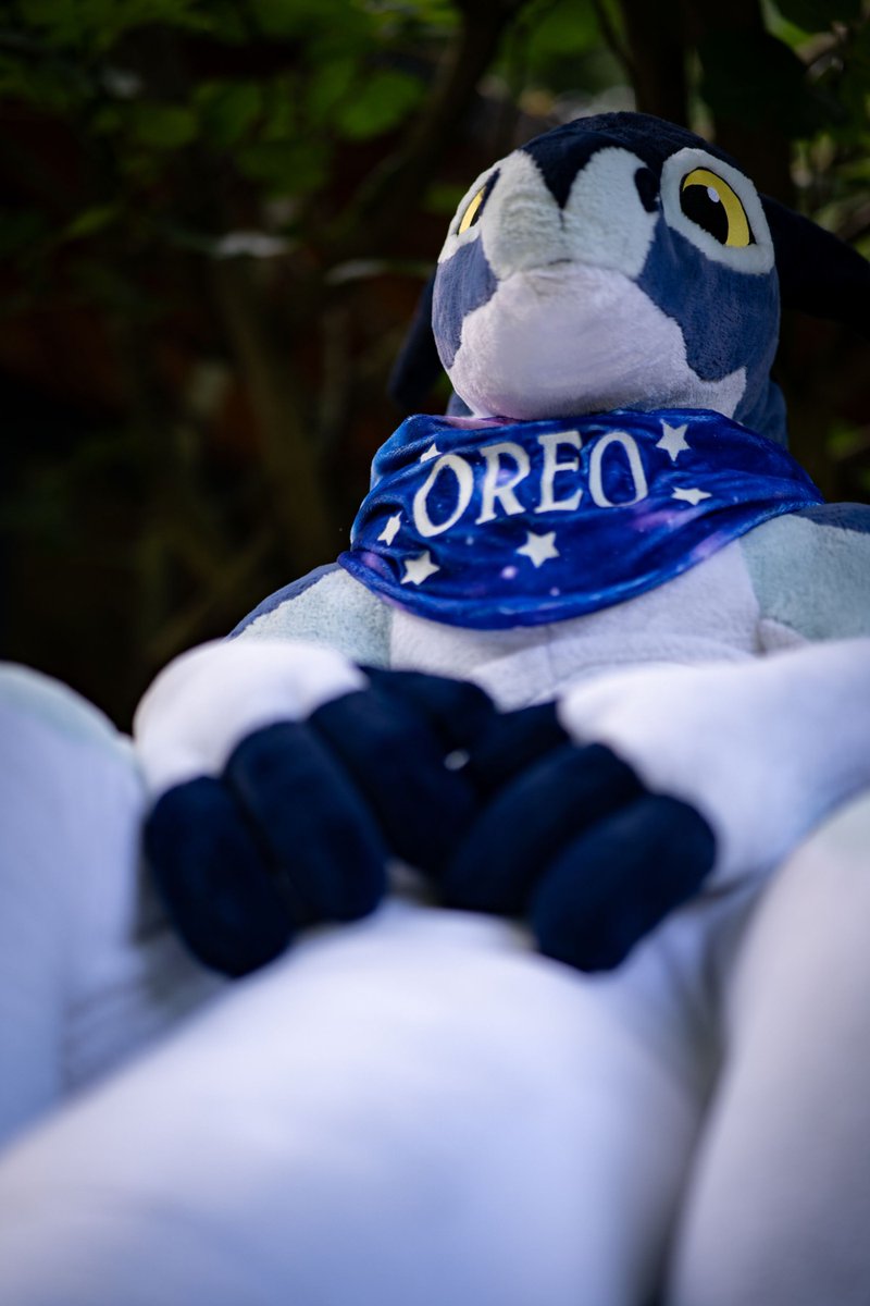 B I G ! 👀 
*looks down to you*

📷 <a href="/FurJorden/">Jorden</a> 
💙 💜 🐲 by <a href="/PlushLife_eu/">PlushLife</a>
